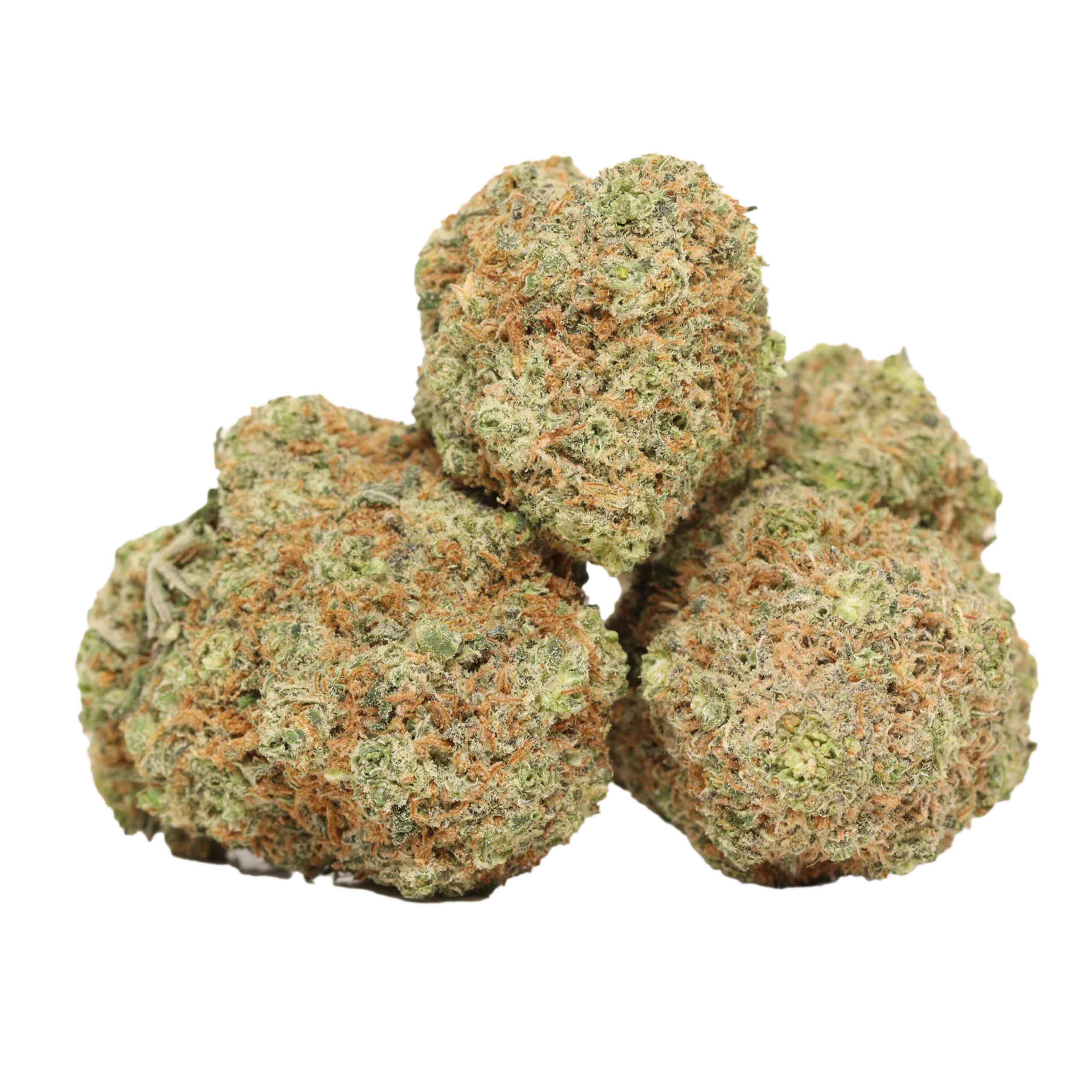 buy Animal Cookies online