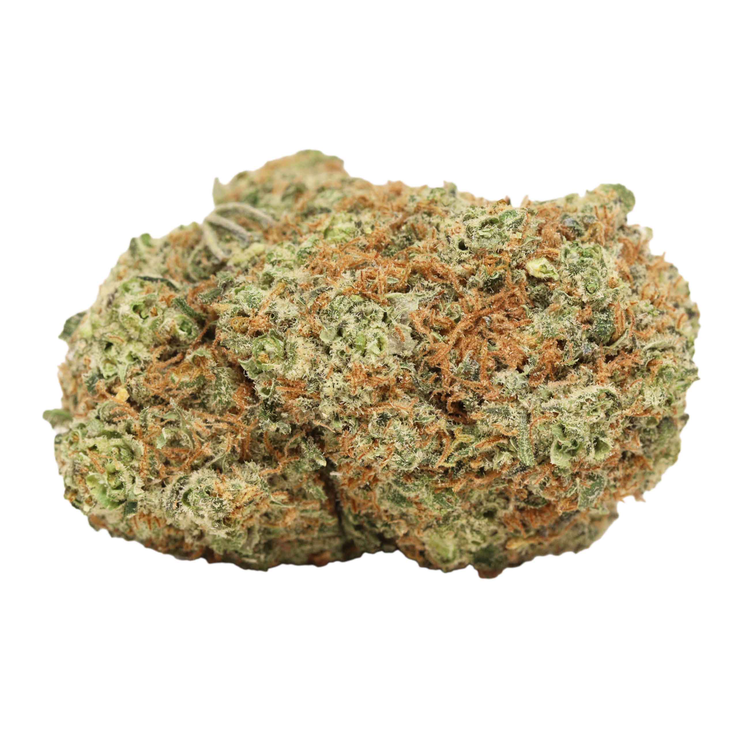 buy Animal Cookies online - Image 3