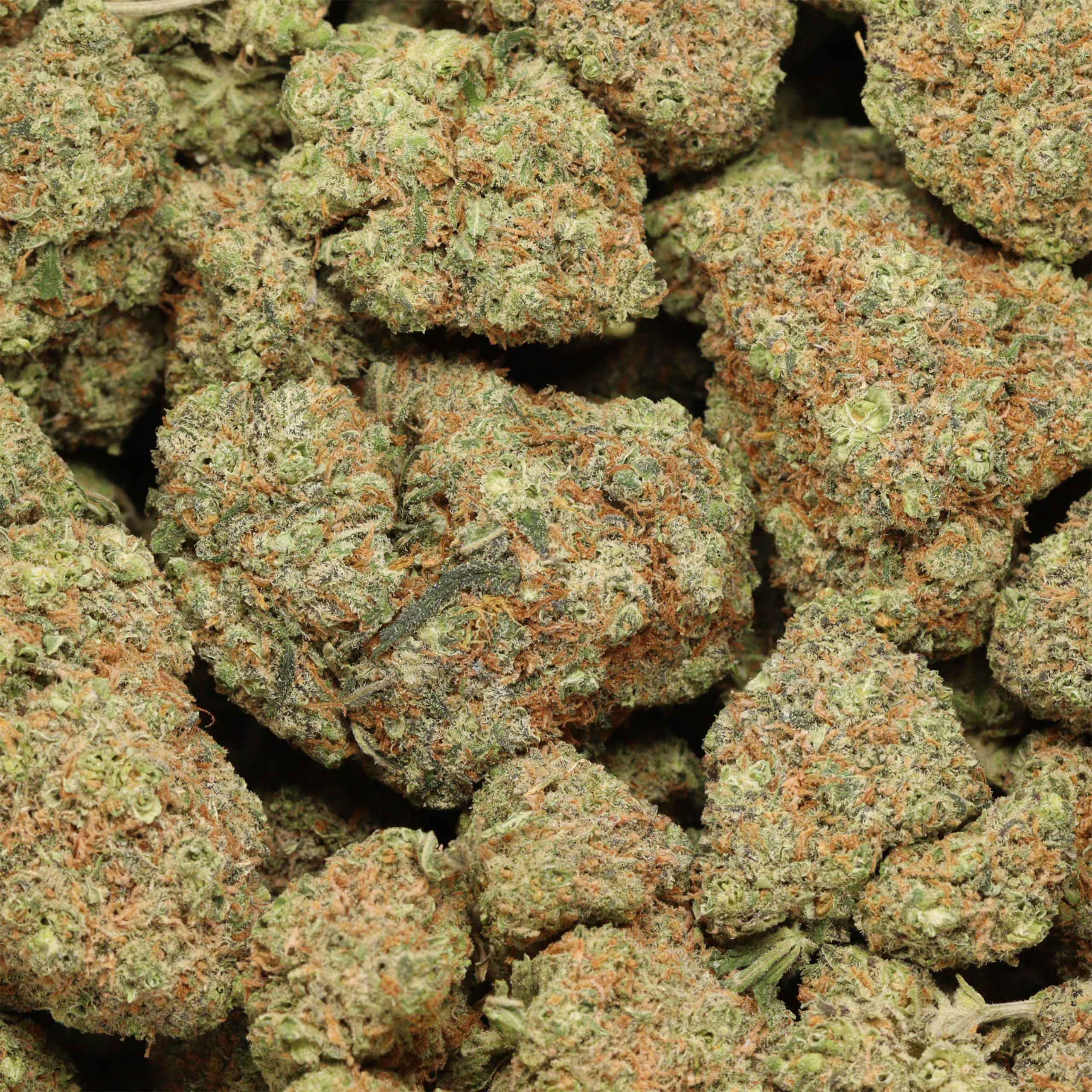 buy Animal Cookies online - Image 2