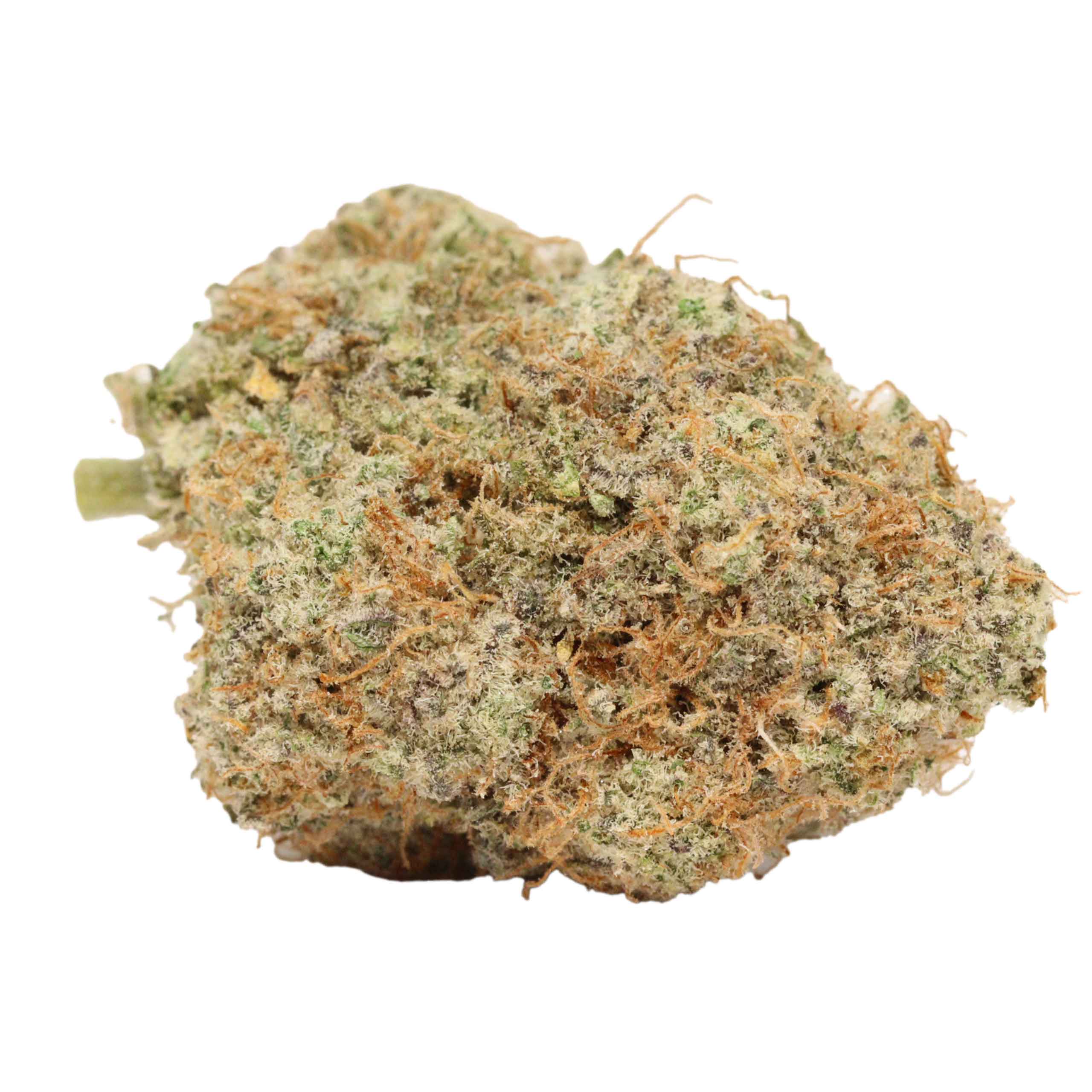 Buy Banana Mac online - Image 2