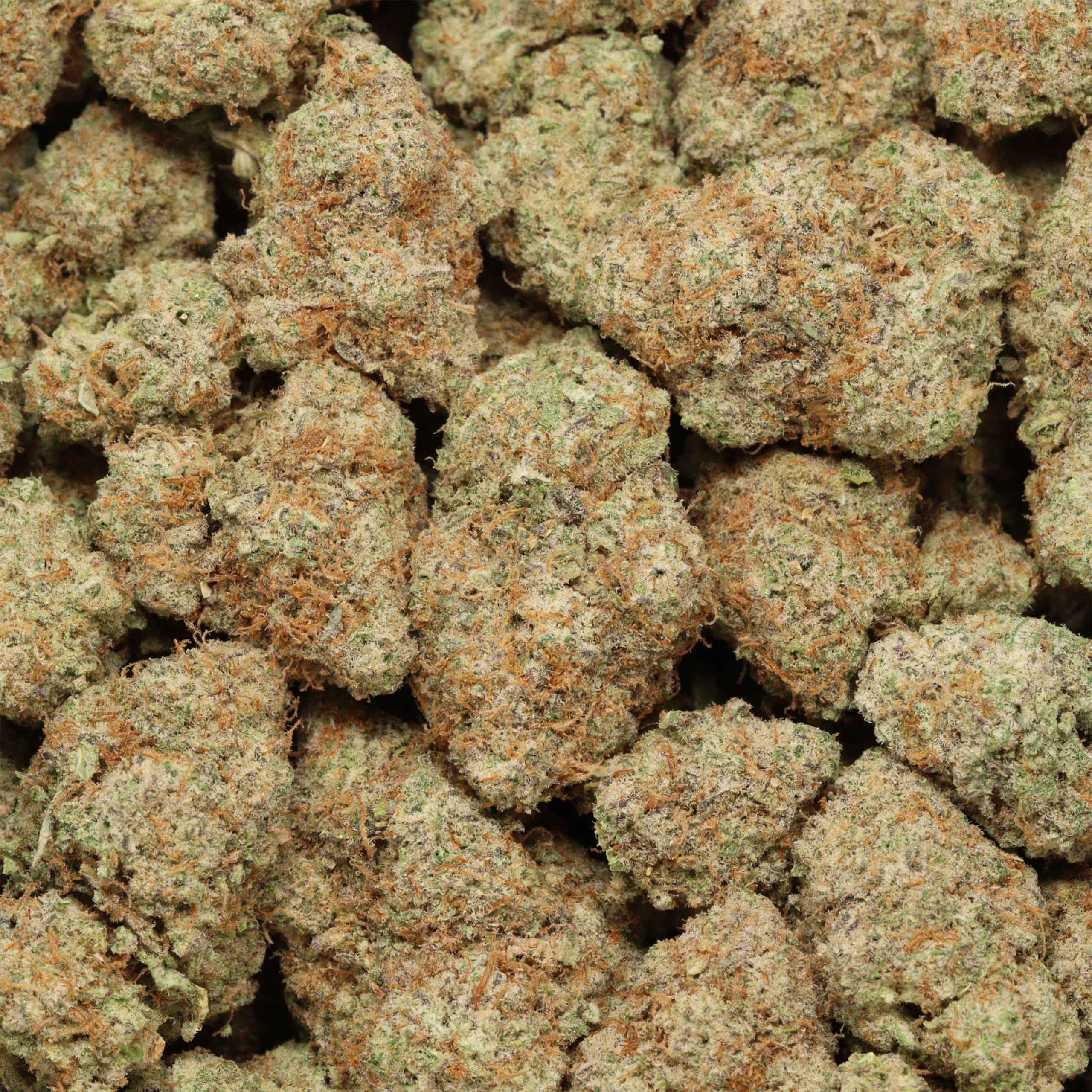 Buy Banana Mac online - Image 3