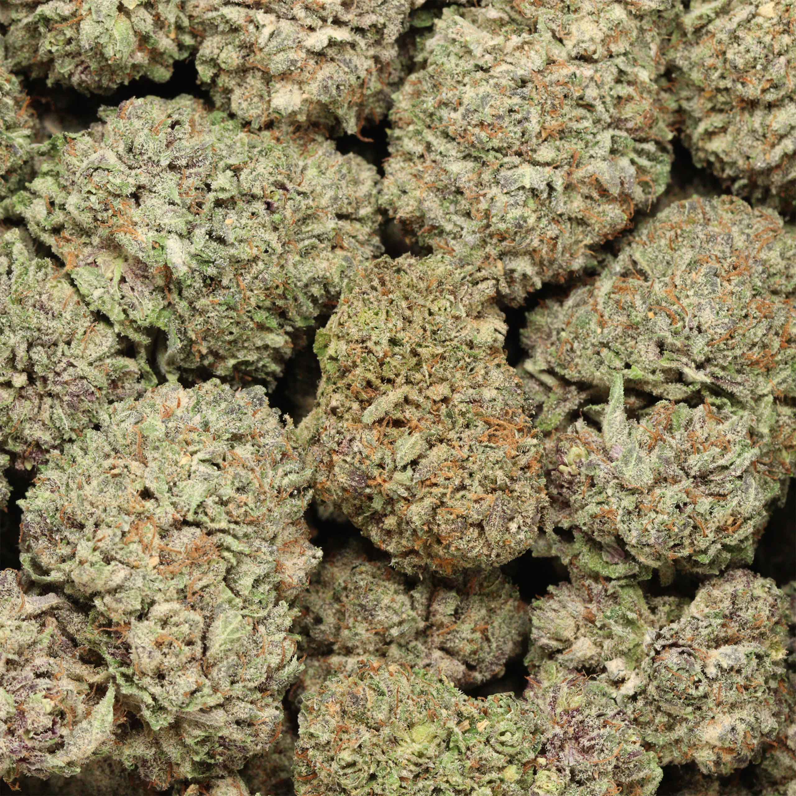 Buy Black Cherry Soda online - Image 3