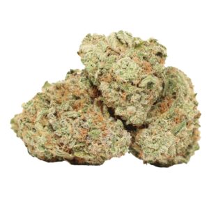 Chemo Kush indica buds with dense trichomes and earthy-fuel aroma