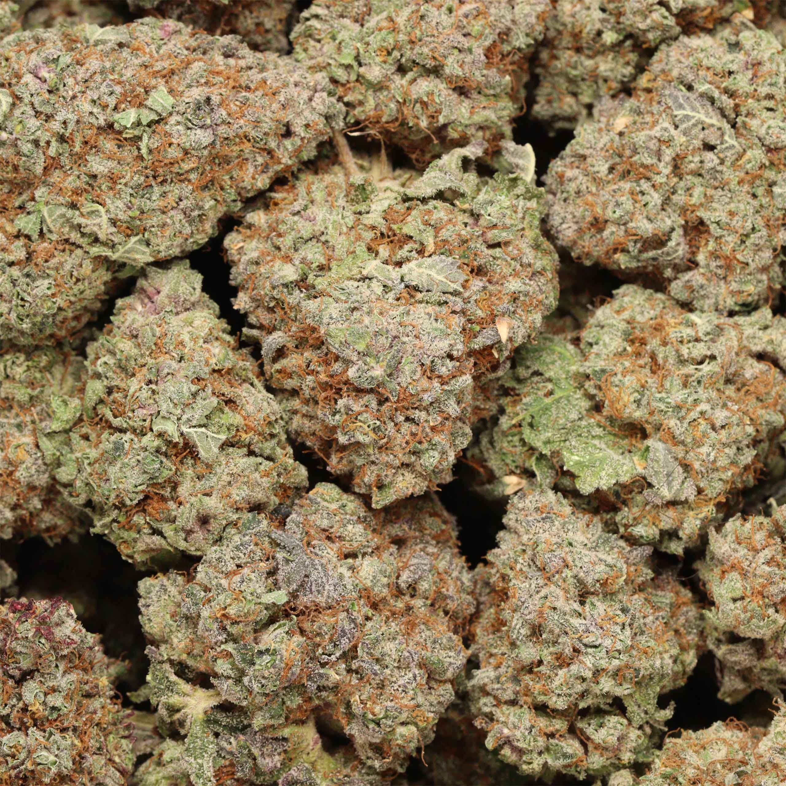 Buy Cherry Diamond online - Image 3