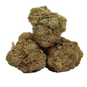 Dos Diablo hybrid buds with dense trichomes and sweet-earthy aroma