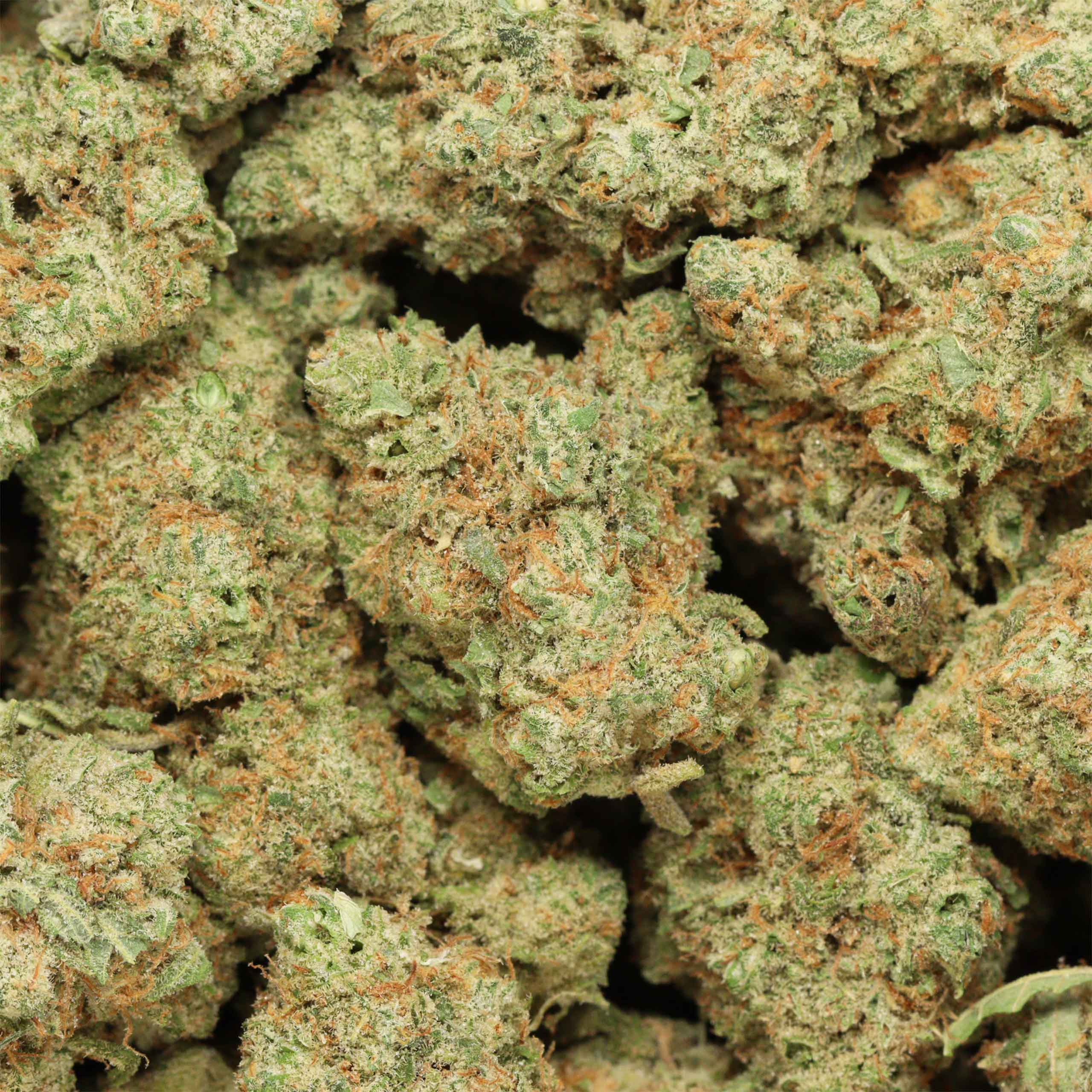 Buy Gelato #33 online - Image 3