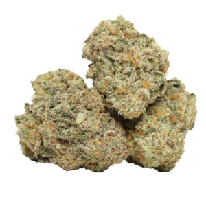 God’s Green Crack cannabis strain for sale online in legal USA, Canada, and Australia