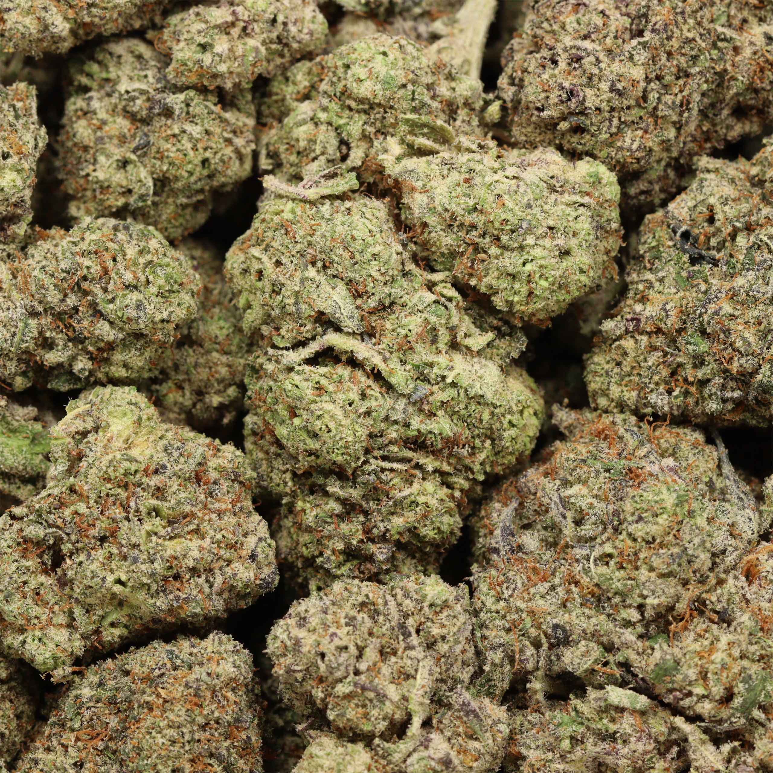 buy Gorilla Glue #4 online - Image 3