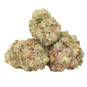 Hydro Death Bubba indica buds with dark tones and heavy trichomes