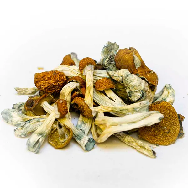 South American Dried Magic Mushrooms – Buy Online USA, Canada, Australia