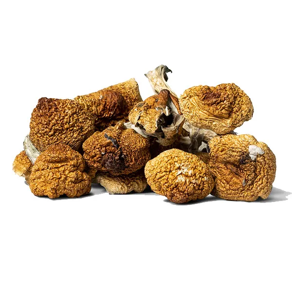 Daddy Long Legs Dried Magic Mushrooms – Buy Online USA, Canada, Australia