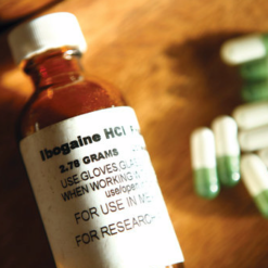 Buy Ibogaine HCL (Hydrochloride) Online