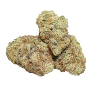 Khalifa Kush hybrid buds with bright citrus aroma and dense trichomes