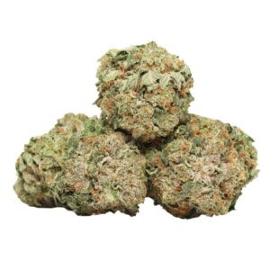 Master Kush indica buds with dense trichomes and earthy-citrus aroma