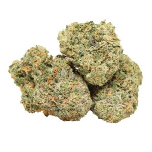 Mataro Blue indica buds with dense trichomes and sweet berry aroma