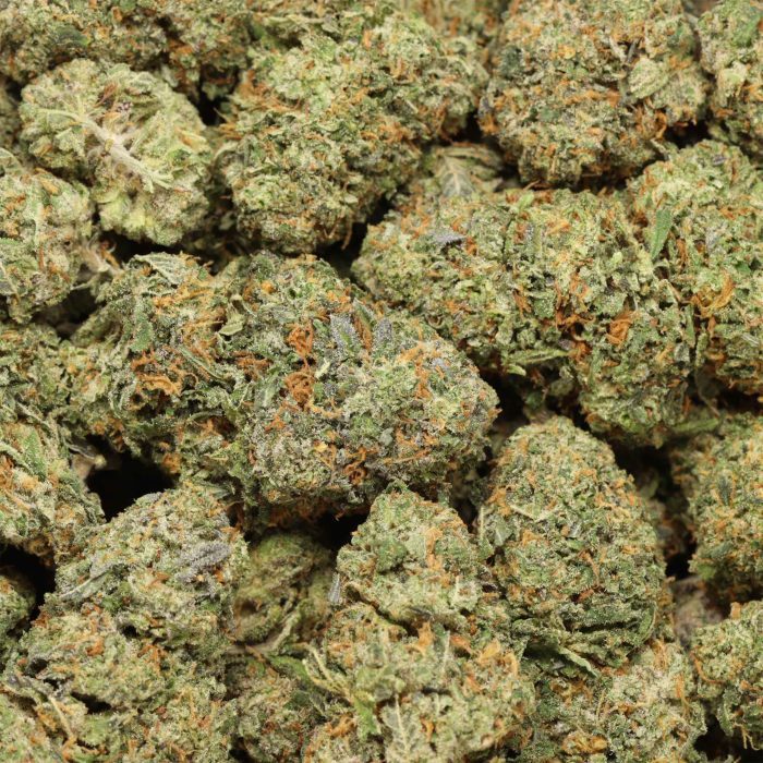 buy Mataro Blue online - Image 3