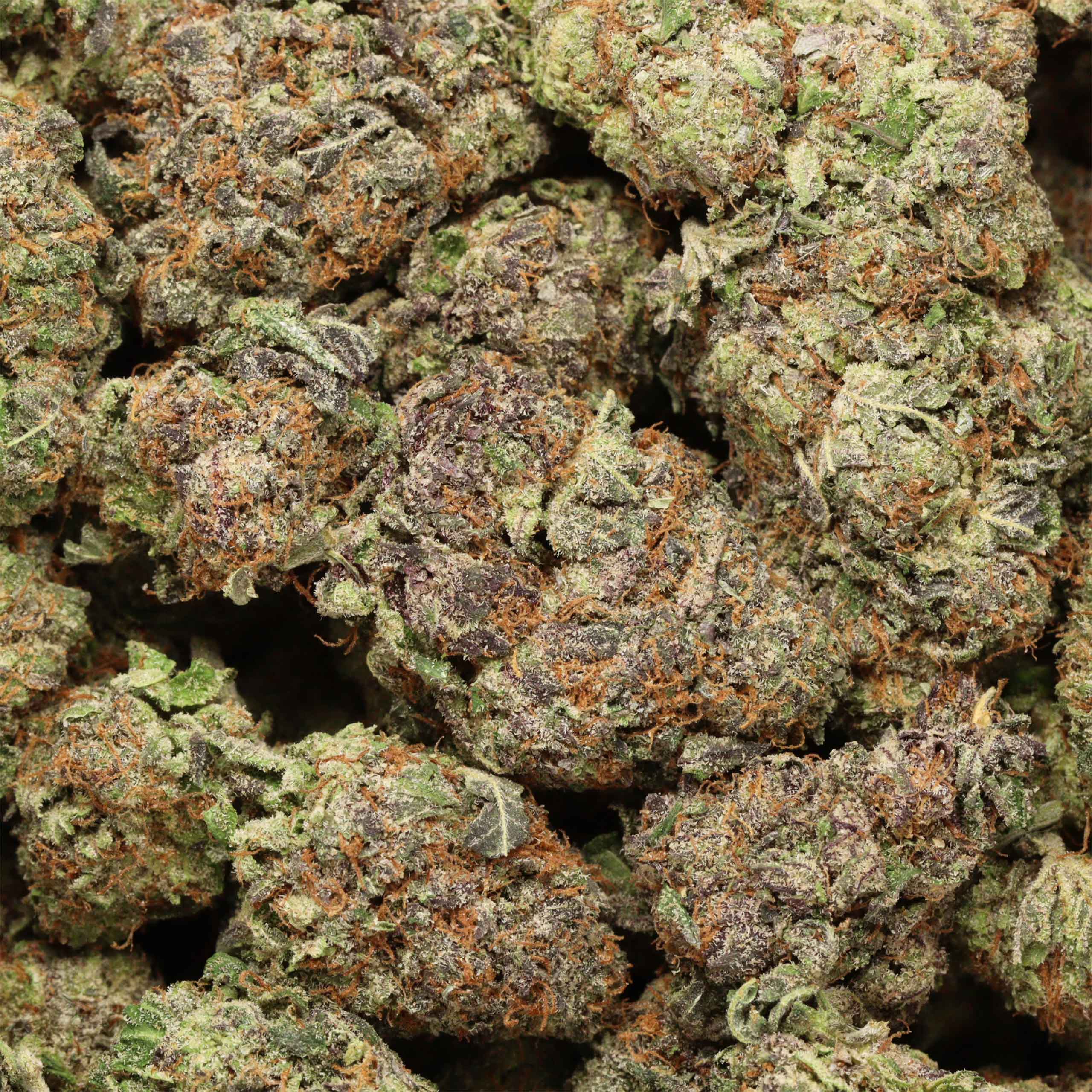 buy Maui Berry online - Image 3