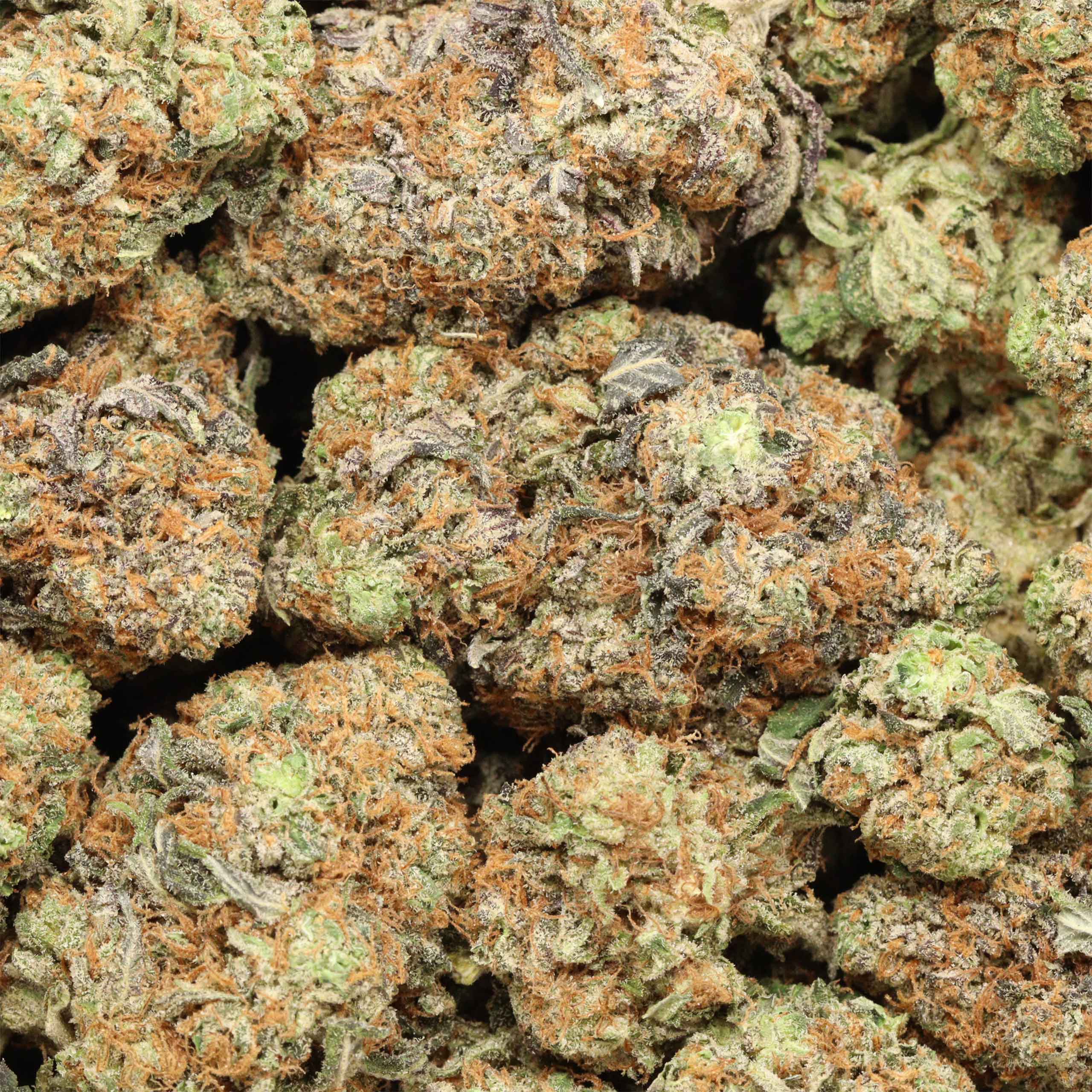 Buy Peanut Butter Breath online - Image 2