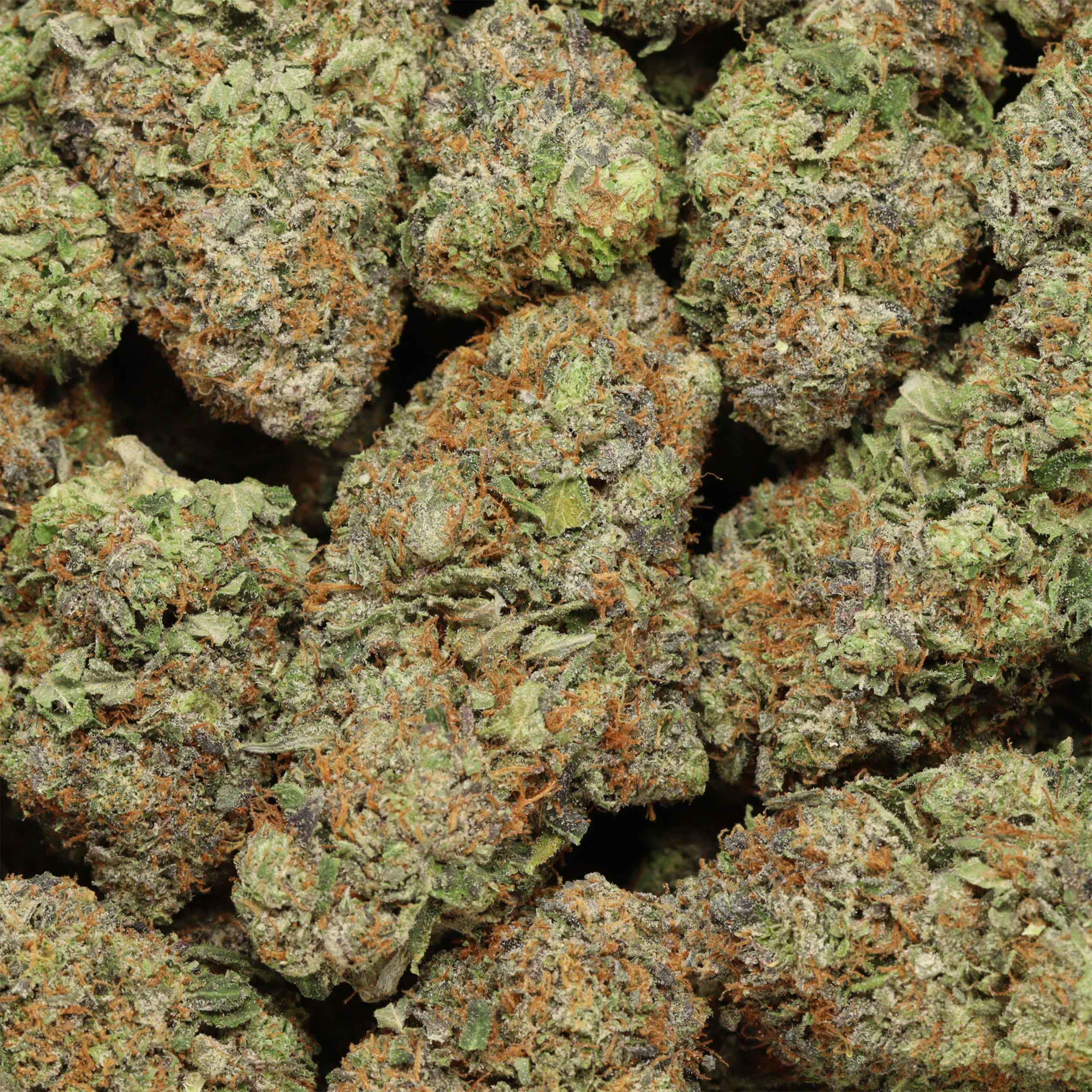 buy-Pink Banner AAAA+ Indica Craft by Fore House - Image 3