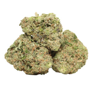 Pink Gas hybrid strain with pink-accented buds and sweet berry aroma