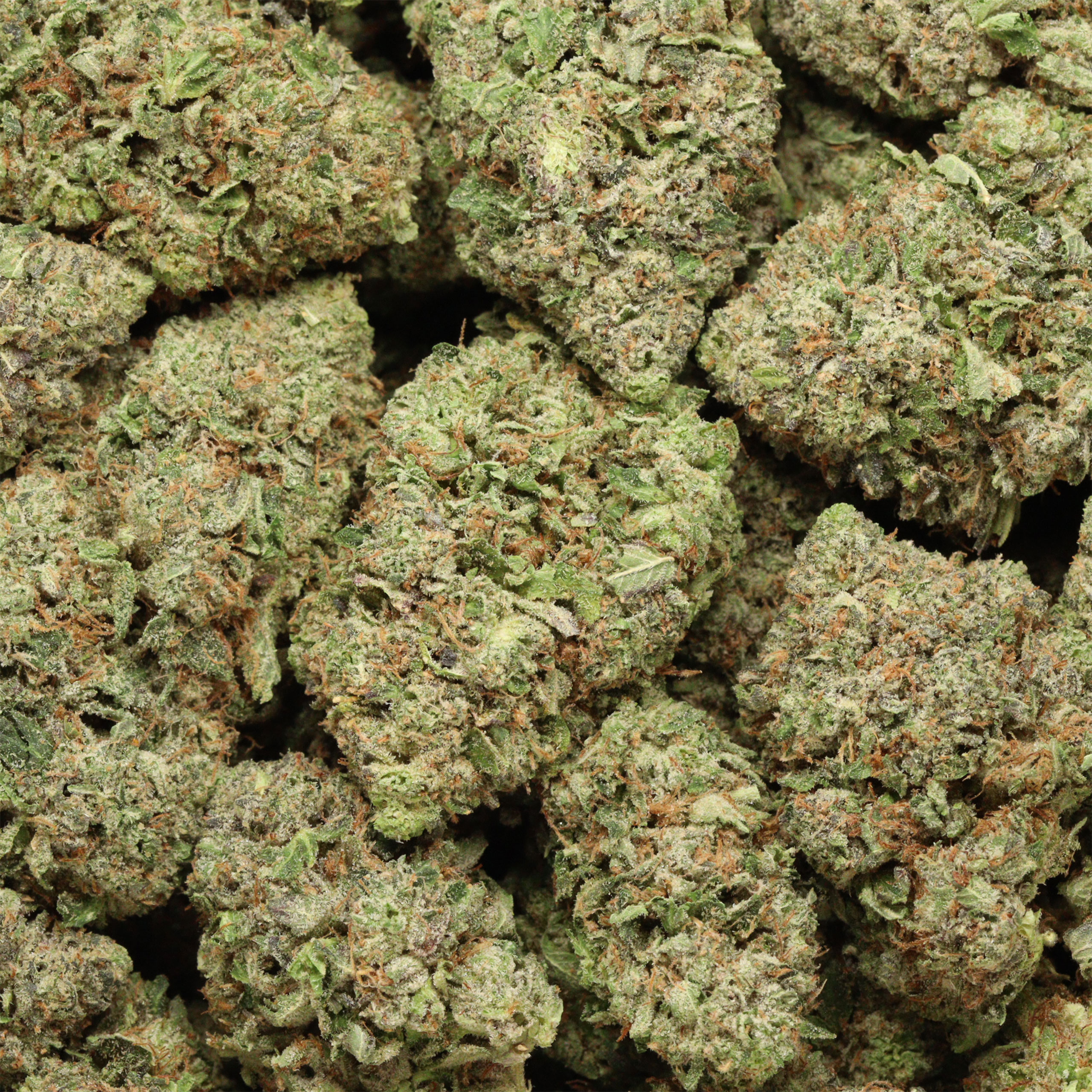 buy Pink Gas online - Image 2