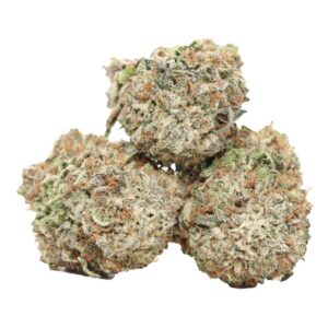 Purple Banner indica-dominant hybrid buds with sweet berry aroma and frosty trichomes