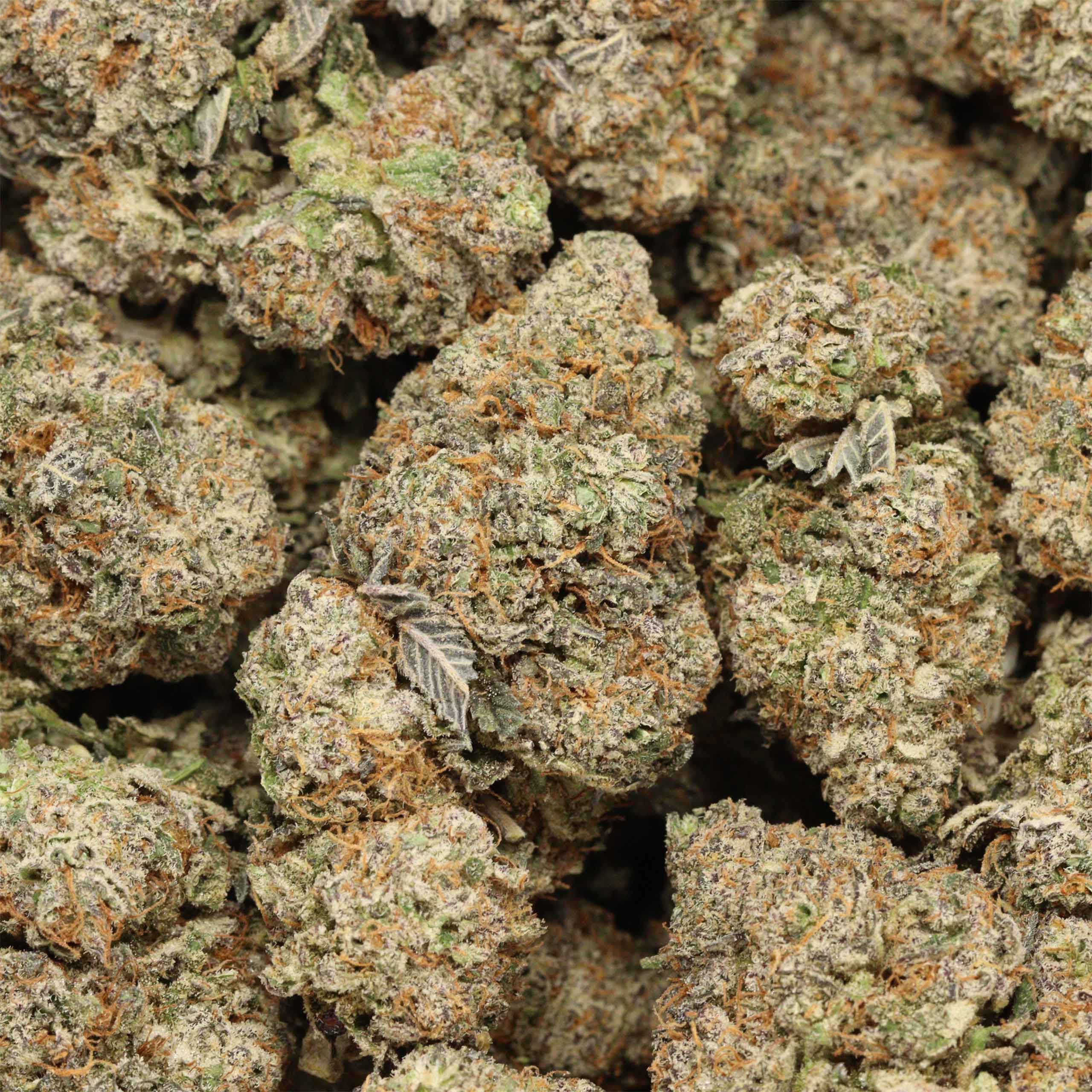 buy Purple Diamond online - Image 3