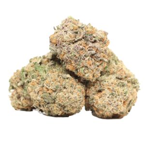 Purple Kush indica buds with purple tones and sweet grape aroma
