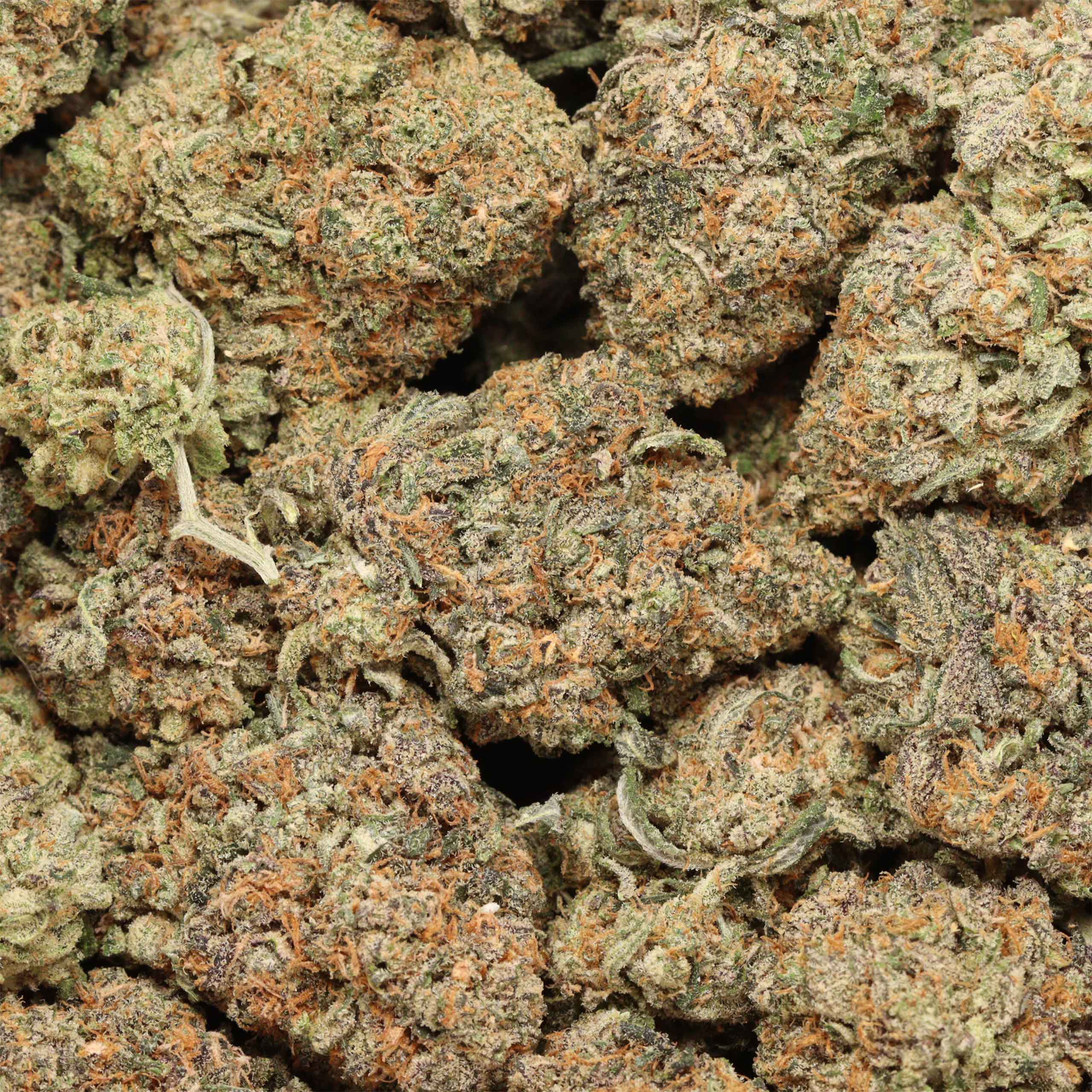 buy Purple Kush online - Image 3