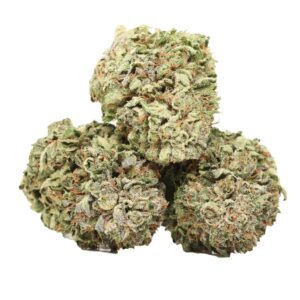 Purple Urkle indica strain with deep purple buds and sweet grape aroma