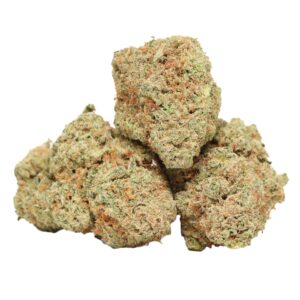Sherbet Cake hybrid buds with sweet sherbet aroma and creamy citrus notes