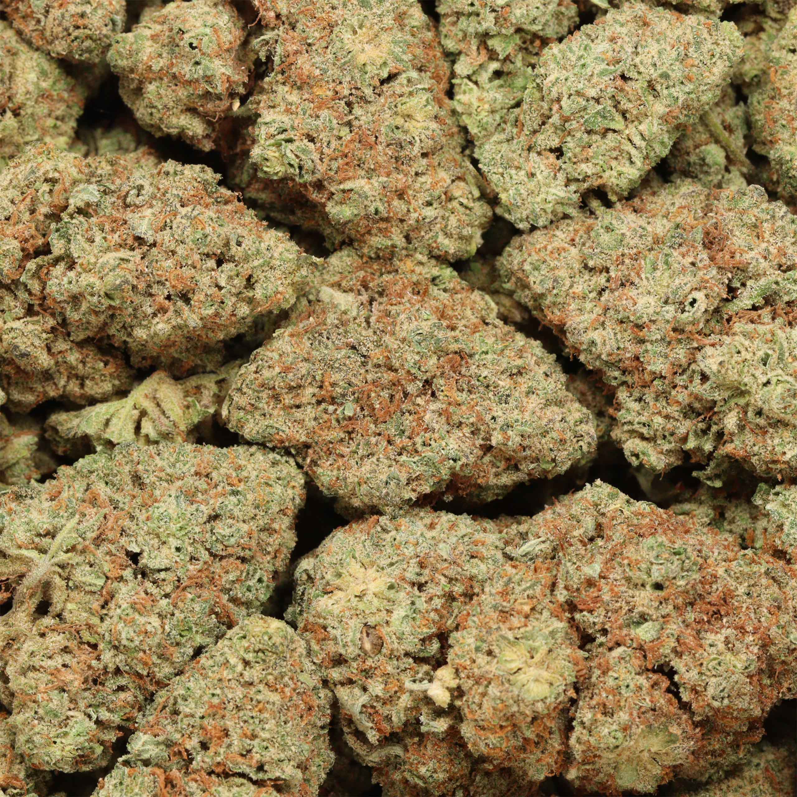 buy Sherbet Cake online - Image 3