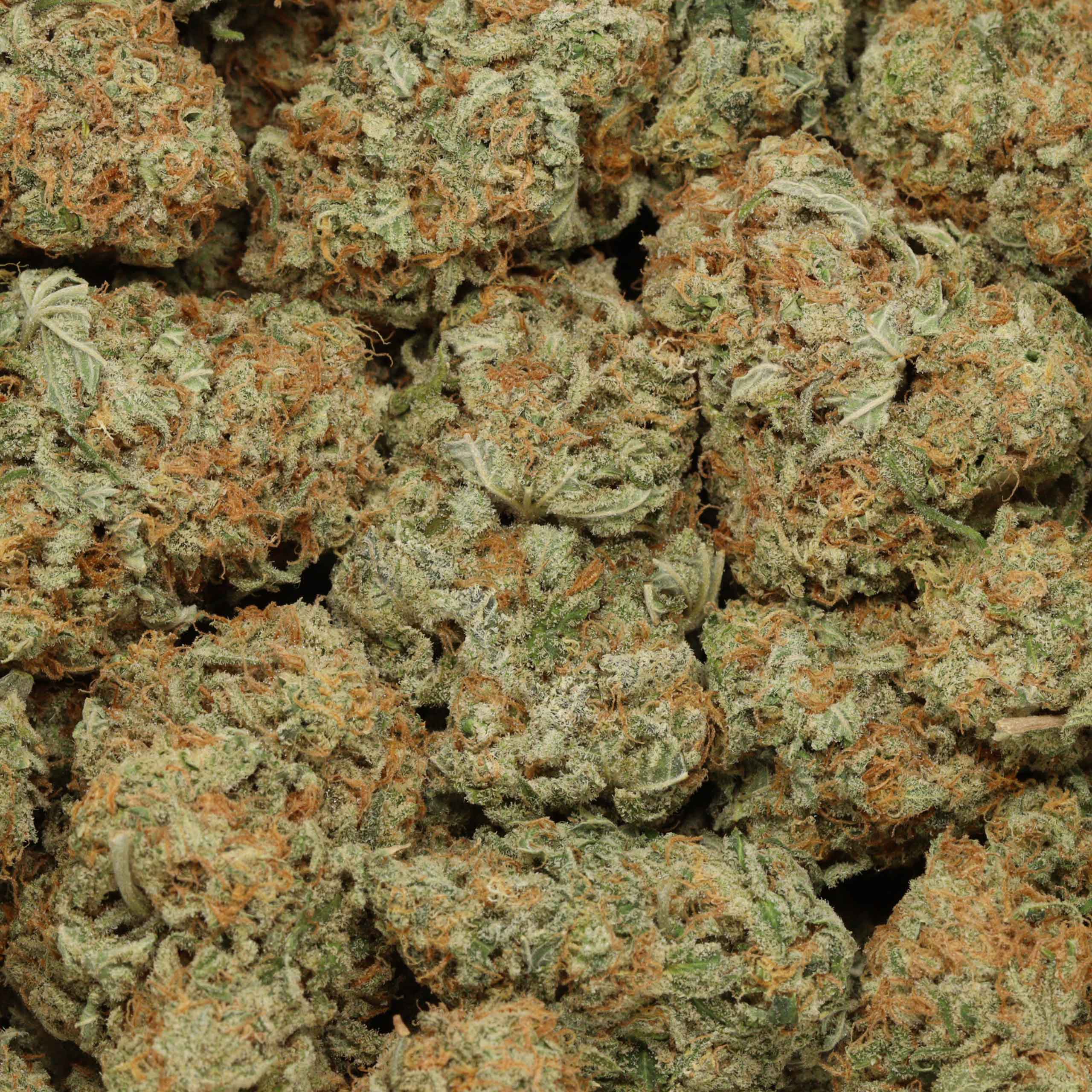 Buy Silver Surfer online - Image 3